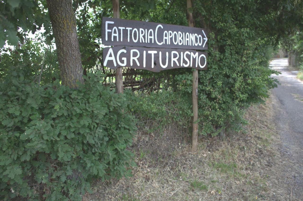 Fattoria Capobianco Villa Montefiascone Exterior photo